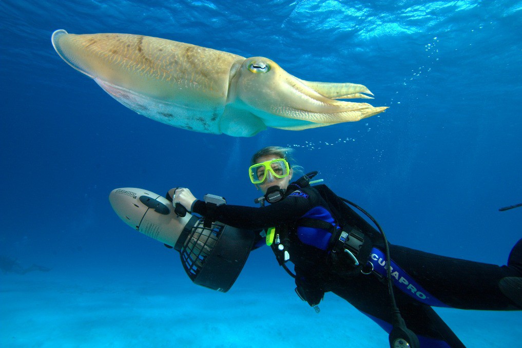 Diving