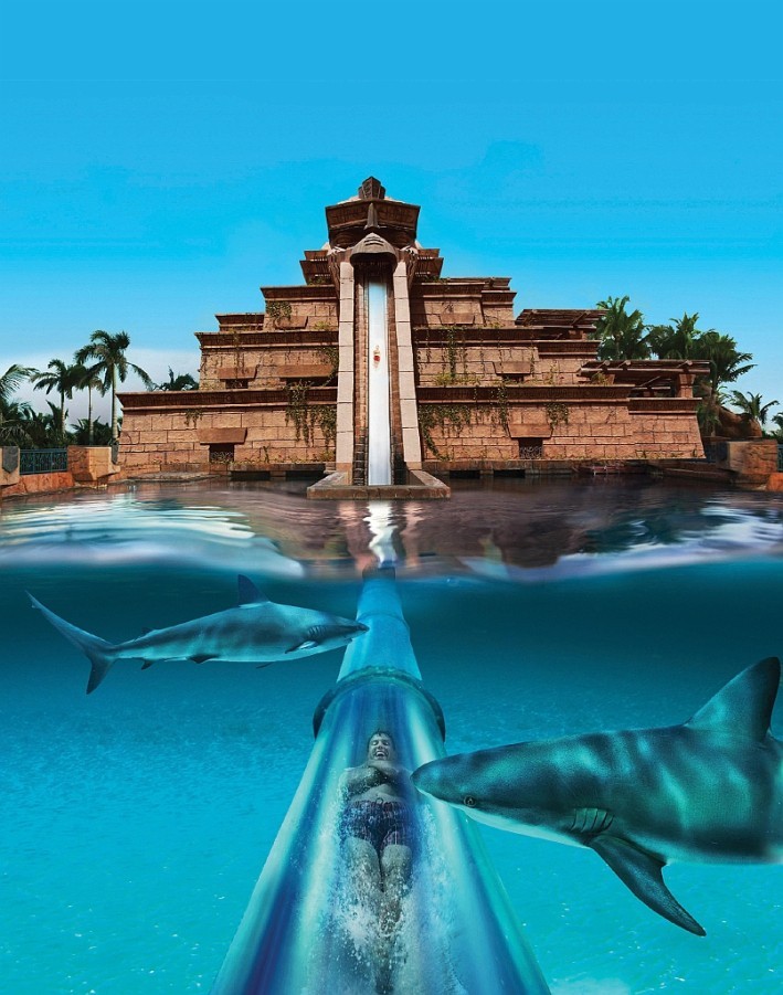 Aqua venture