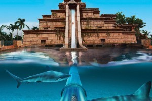 Aqua venture