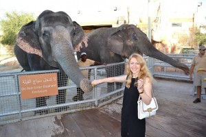Emirates Park Zoo