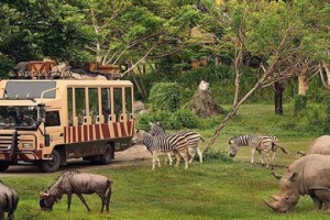 Dubai Safari Park